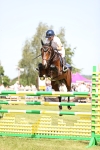 SBM_03945