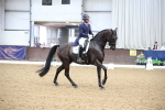 SBM_004329