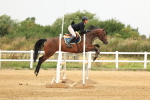 SBM_002362
