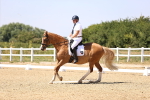 SBM_004902