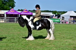 SBM_09367