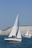 190629 PETASUS - GBR1293L 1Y3A0879
