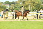 SBM_69039