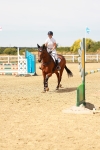 SBM_003449