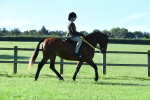 SBM_35567