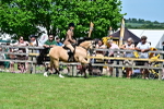 SBM_07895