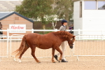SBM_16460