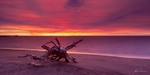 Sunset Log
