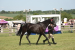 SBM_09265