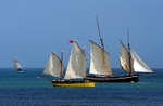 Luggers racing