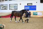 SBM_17843
