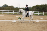 SBM_00484