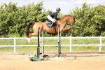 SBM_003513
