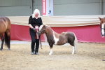 SBM_17594