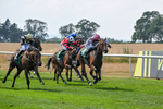 160726-Race 4-Park Lane Penny-4666