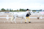 SBM_00222