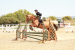 SBM_003990