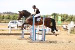 SBM_000297
