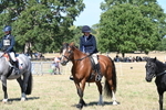WJ6_8477