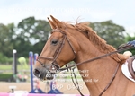 BPP_0478