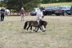 WJ6_7013