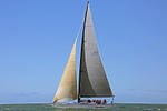 160702 VENOM - USA60006 ROUND THE ISLAND Y92A9963