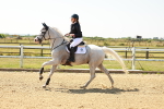SBM_000799