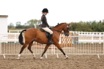 SBM_00640