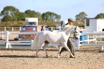 SBM_08431