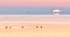 Spring Dawn--Inner Bay Long Point