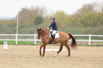 SBM_006698
