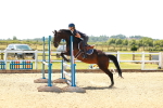 SBM_006601