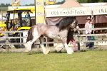 SBM_08788