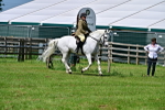 SBM_03771