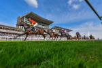 170524-Race 7-Jubilee Walk-6402