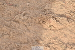 231015A-145316-08826