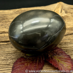 Polished Whitby Ammonite Nodule 037