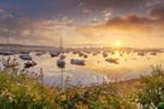 z2448 Mellow Morning Bembridge Harbour
