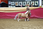 SBM_16024