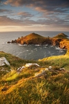 The Rumps