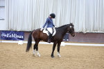 SBM_000527