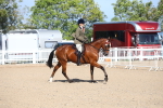 SBM_17486