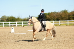 SBM_000086