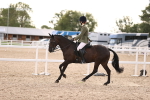 SBM_18194
