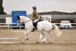 SBM_000519