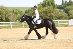 SBM_007832