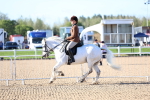 SBM_08802