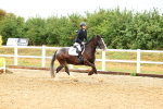 SBM_000564
