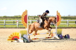 SBM_000653