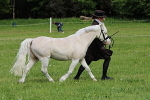 SIAL3155